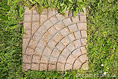 Fresh green grass and stone tiles outdoors, top view Stock Photo