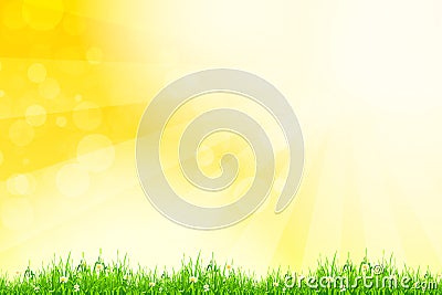 Fresh green grass with yellow bokeh and sunlight. Beauty natural Vector Illustration