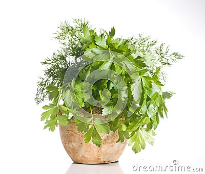 Fresh green herbs in a pot over white Stock Photo