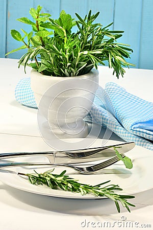 Fresh green herbs on a table Stock Photo