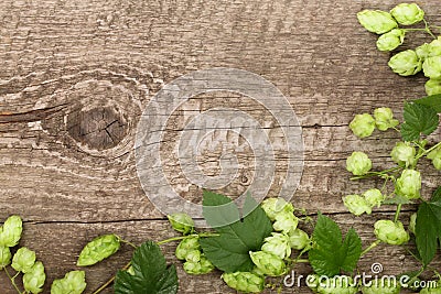 Fresh green hop cones on old wooden background. Ingredient for beer production. Top view with copy space for your text Stock Photo