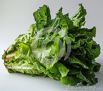 Fresh green leafy vegetables Stock Photo