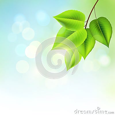 Fresh Green Leaves Vector Illustration