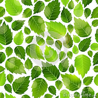 Fresh green leaves seamless background pattern Vector Illustration