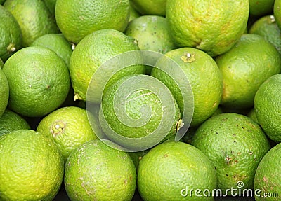 Fresh Green Lemons Stock Photo