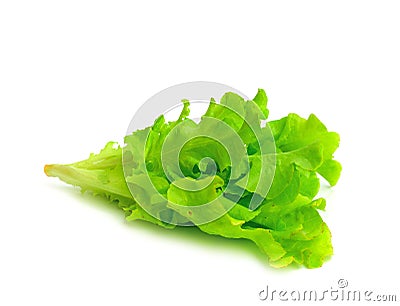 Fresh green lettuce leaves Stock Photo