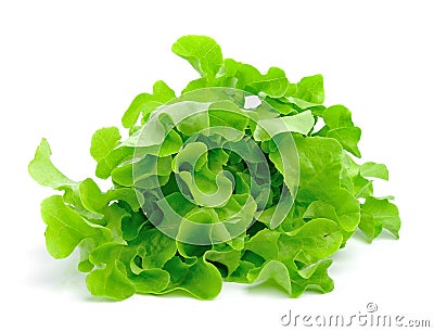 Fresh green lettuce leaves on white Stock Photo