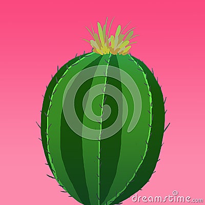 Fresh green lonely cactus on pink mexican background Stock Photo