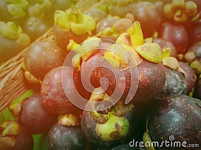 Fresh green mangosteen in the local market in Thailand Stock Photo