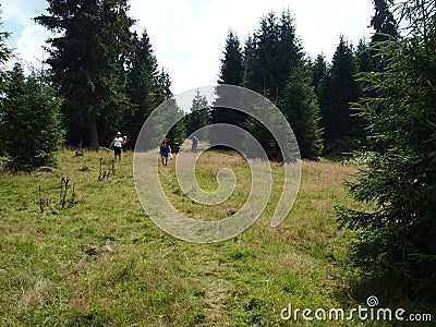 Fresh green meadows, blooming flowers, typical farmhouses and snowcapped mountain tops in the background Editorial Stock Photo