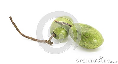 fresh green olive over on white background Stock Photo