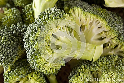 Fresh Green Organic Broccoli Stock Photo