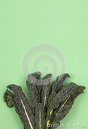Fresh green organic raw kale, Italian kale, Tuscan kale, lacinato, dinosaur kale, leaves on green background. Top view Stock Photo