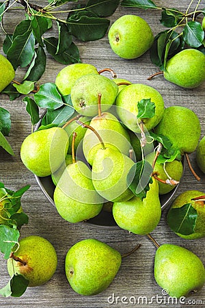 Fresh green pears. Pears harvest. Freshly harvested pears. Stock Photo