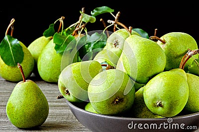 Fresh green pears. Pears harvest. Freshly harvested pears. Stock Photo