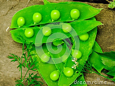 Fresh green peas on wood background. peas, pods and leaves set. Healthy food. Macro shooting. Stock Photo