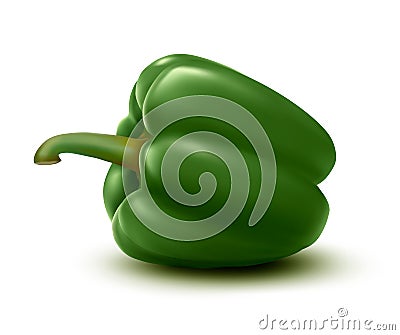 Fresh green pepper. Vector Illustration