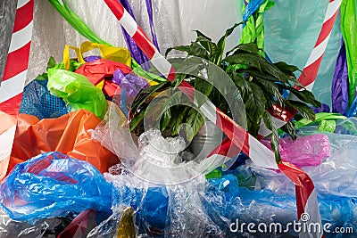 Fresh green plant being in hard plastic environment Stock Photo