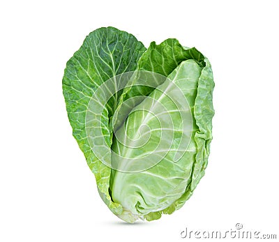 Fresh green pointed cabbage isolated on white Stock Photo