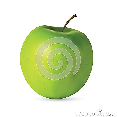 Fresh green realistic apple Vector Illustration