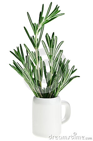 Fresh green rosemary bunch in small ceramic noggin Stock Photo