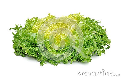 Fresh green salad Stock Photo