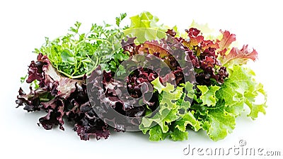 fresh green salad isolated on a crisp white background Stock Photo