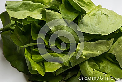 Fresh green salad lettuce isolated on white. Stock Photo