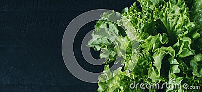 Fresh green salad lettuce leaves isolated on a dark background of the aged wooden boards vintage horizontal top view Stock Photo