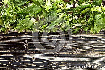 Fresh green salad Stock Photo