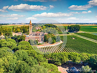 Fresh green scene of Pomposa Abbey tower among vineyards Stock Photo