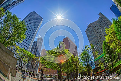 Fresh green of Shinjuku Editorial Stock Photo