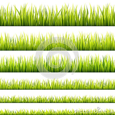 Fresh and green spring grass sprouts and herbal growth seamless banners. Springtime lawn panorama in a sunlight. Foliage lines for Vector Illustration