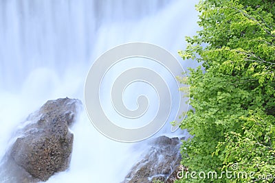 Fresh green and stream Stock Photo