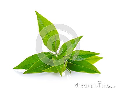 Fresh green tea leaf on white background Stock Photo