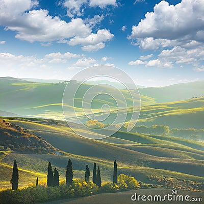 Fresh Green tuscany landscape Stock Photo