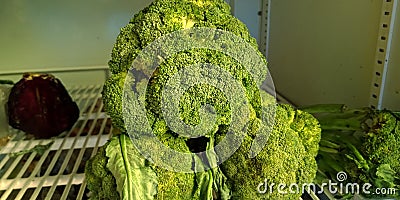 fresh green vegetables kept into frizzing chamber Stock Photo