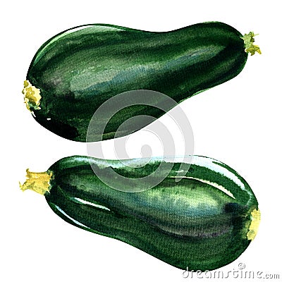 Fresh green zucchini isolated on white background Stock Photo