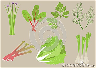 Fresh Greens Vector Illustration