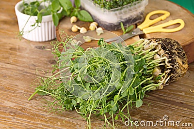 Fresh greens, pea sprouts young healthy food vitamin diet Stock Photo