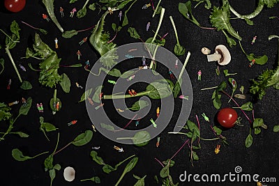 Fresh greens and tomatoes on a black background Stock Photo