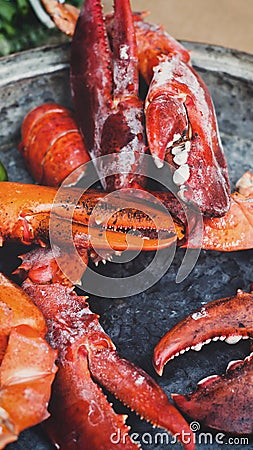 Fresh grilled lobster claws at grill pan outdoors Stock Photo