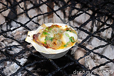 Fresh grilled scallops Stock Photo