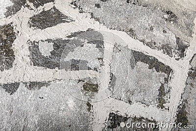 Fresh grouted flagstones Stock Photo