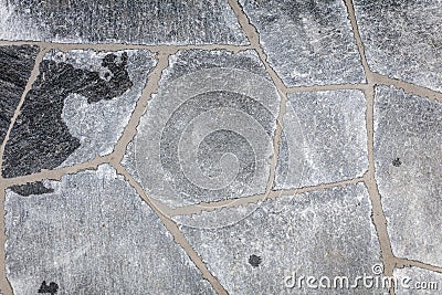 Fresh grouted flagstones Stock Photo
