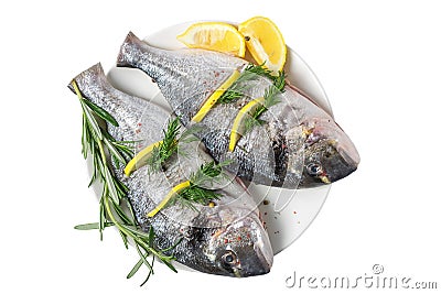Fresh gutted fish dorado and ingredients for cooking, lemon, pepper and rosemary isolated on white background. top view Stock Photo