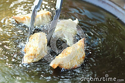 Fresh Gyoza fried in a pan Stock Photo