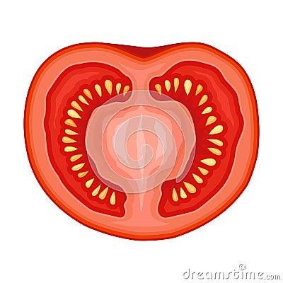 Fresh Half of Red Tomato, Ripe Organic Healthy Vegetable Vector Illustration Vector Illustration