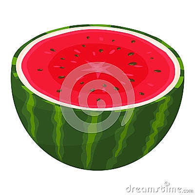 Fresh half watermelon fruit isolated on white background. Summer fruits for healthy lifestyle. Organic fruit. Cartoon style. Vector Illustration