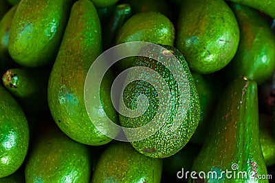 Fresh harvest avocado pile in grocery Stock Photo